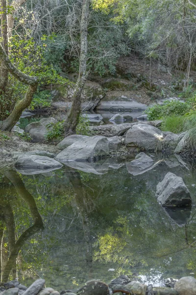 Téma Řeky Stromy Řece Hoře Okraje Skal Vegetace Zrcadlový Obraz — Stock fotografie