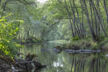 Tema nehir, nehir dağ, kayalar, ağaçlar ve bitki örtüsü kenar boşlukları ve Portekiz su ayna görüntüsü