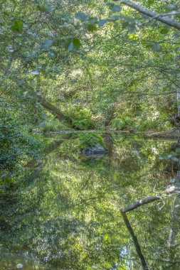 Tema nehir, nehir dağ, kayalar, ağaçlar ve bitki örtüsü kenar boşlukları ve ayna görüntüsü su, Portekiz