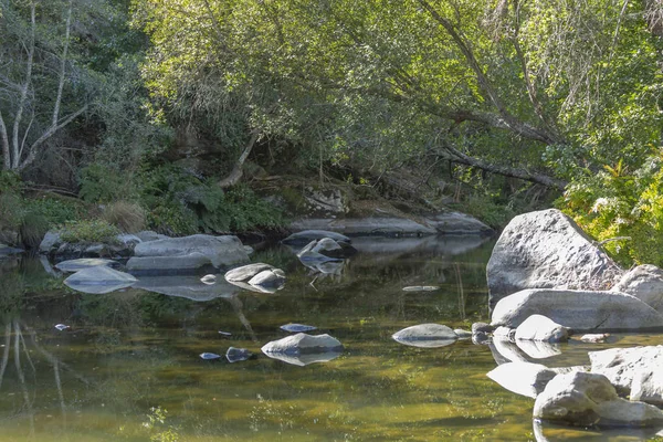 Tema Fiume Fiume Montagna Margini Con Rocce Alberi Vegetazione Immagine — Foto Stock