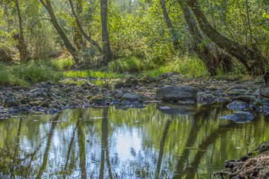 Tema nehir, nehir dağ, kayalar, ağaçlar ve bitki örtüsü kenar boşlukları ve ayna görüntüsü su, Portekiz
