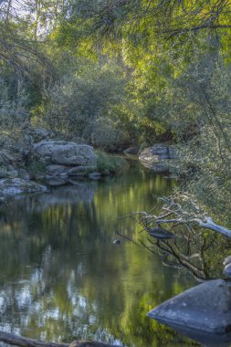 Tema nehir, nehir dağ, kayalar, ağaçlar ve bitki örtüsü kenar boşlukları ve ayna görüntüsü su, Portekiz