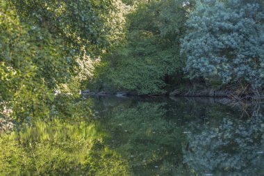 Tema nehir, nehir dağ, kayalar, ağaçlar ve bitki örtüsü kenar boşlukları ve ayna görüntüsü su, Portekiz