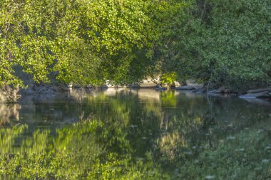 Tema nehir, nehir dağ, kayalar, ağaçlar ve bitki örtüsü kenar boşlukları ve ayna görüntüsü su, Portekiz