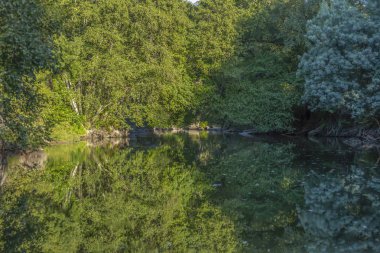 Tema nehir, nehir dağ, kayalar, ağaçlar ve bitki örtüsü kenar boşlukları ve ayna görüntüsü su, Portekiz