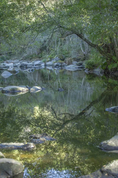 Tema Floden Flod Berg Marginaler Med Stenar Träd Och Vegetation — Stockfoto