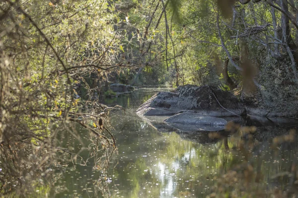 Themenfluss Bäume Fluss Gebirge Felsränder Und Vegetation Und Spiegelbild Wasser — Stockfoto