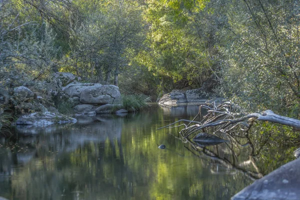 Téma Řeka Řeka Horských Okraje Skal Stromů Vegetace Zrcadlový Obraz — Stock fotografie