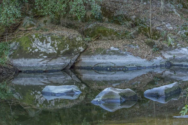 Tema River Flod Berg Marginaler Med Stenar Och Vegetation Och — Stockfoto