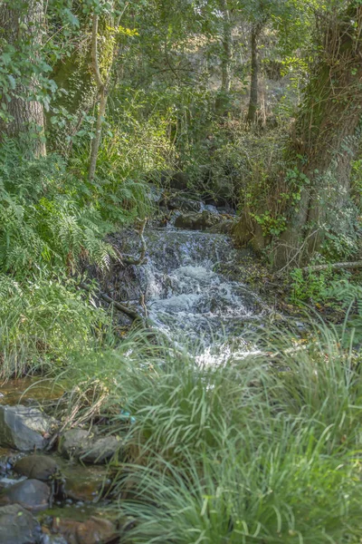 主题河 河在山 边缘与岩石和植被在葡萄牙 — 图库照片