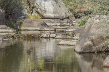 Tema nehir, dağ, nehir kenar boşlukları kayalar ve bitki örtüsü ve Portekiz su ayna görüntüsü