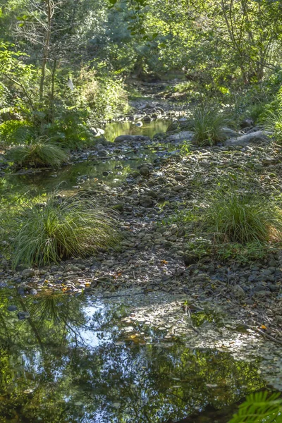 Tema Floden Flod Berg Marginaler Med Stenar Och Vegetation Portugal — Stockfoto