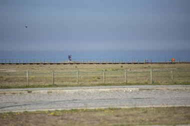 Leca da Palmeira / Porto / Portekiz - 10 04 2018: Portekiz arka plan olarak bir sırt çantası ahşap yaya patika üzerinde mavi gökyüzü üzerinde martı ile yürüyen adam görünümünü