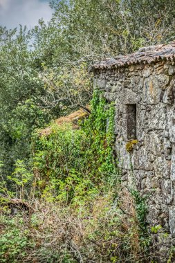 Bitki örtüsü çevreleyen ile harap taş ev görünümünü...