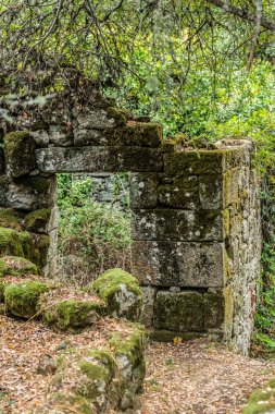 Bitki örtüsü çevreleyen ile harap taş ev görünümünü...