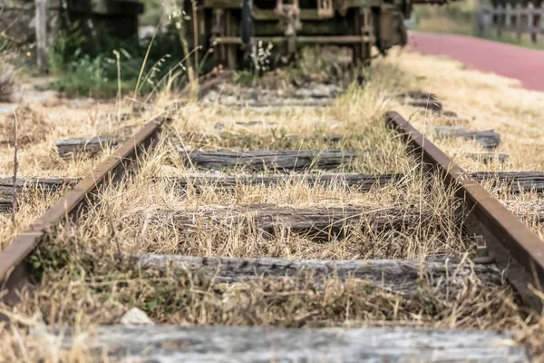 Зору Старого Покинутої Залізничної Лінії Тренуватися Viseu Португалія — стокове фото