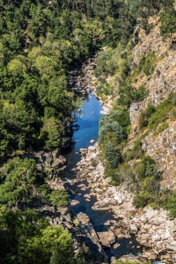 Nehir Paiva, bitki örtüsü, Arouca, Portekiz ile görünümünü