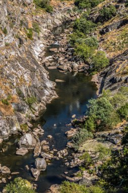 Nehir Paiva, bitki örtüsü, Arouca, Portekiz ile görünümünü