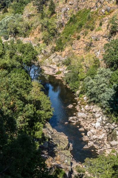 Pohled Řeku Paiva Vegetace Kolem Arouca Portugalsko — Stock fotografie