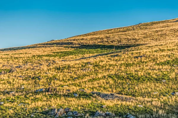 Yeşil ot alanları, mavi gökyüzü ile dağların tepesinden arka planı olarak görüntüleme