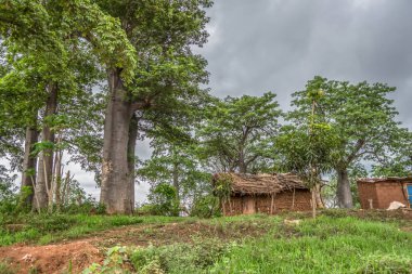Geleneksel köy, çatı ve pişmiş toprak duvarlar, tropikal bitki örtüsüne ve arka plan olarak dramatik bulutlu gökyüzü ile thatched house görünümünü