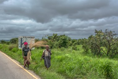 Malange / Angola - 12 08 2018: iki yaşlı kadın çiftlik araçları ve saman, yol kenarı, tropikal bitki örtüsüne ve arka plan olarak bulutlu gökyüzü boyunca yükleme görünümünü