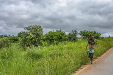 Malange / Angola - 12 08 2018: dal başında, yol kenarı, tropikal manzara arka plan olarak boyunca currying bir yaşlı kadın görünümünü