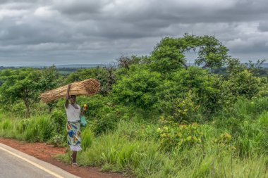 Malange / Angola - 12 08 2018: ahşap currying bir yaşlı kadın görünümünü arka plan olarak tropikal peyzaj boyunca yol kenarında kafasına sopa