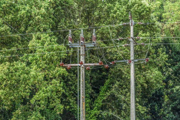 Vista Pali Elettrici Linee Elettriche Con Foresta Come Sfondo — Foto Stock