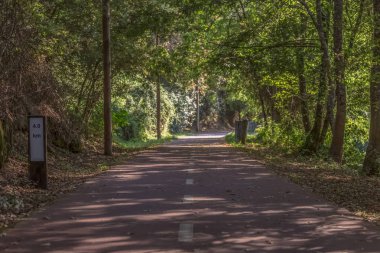 Yaya ve bisiklet çevre yolu, ağaçlar ve bitki örtüsü, Viseu, Portekiz
