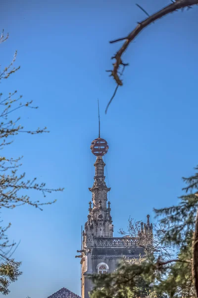 Szczegółowy widok na wieżę pałacową Bussaco w środku drzew — Zdjęcie stockowe