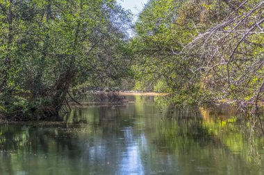 Dao Nehri görünümü, ağaçlar, kayalar ve bitkilerin kıyılarda, su ve parlak renklerde yansımaları ile