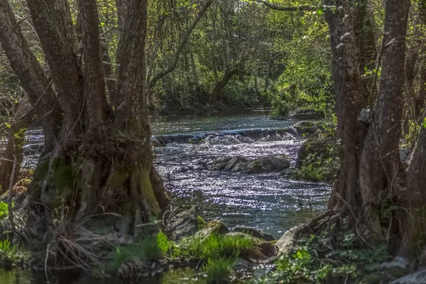 Veduta del fiume Dao, con alberi, rocce e vegetazione sulle rive, riflessi nell'acqua e colori vivaci — Foto Stock