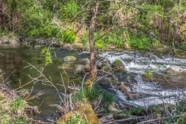 Dao Nehri görünümü, ağaçlar, kayalar ve bitkilerin kıyılarda, su ve parlak renklerde yansımaları ile