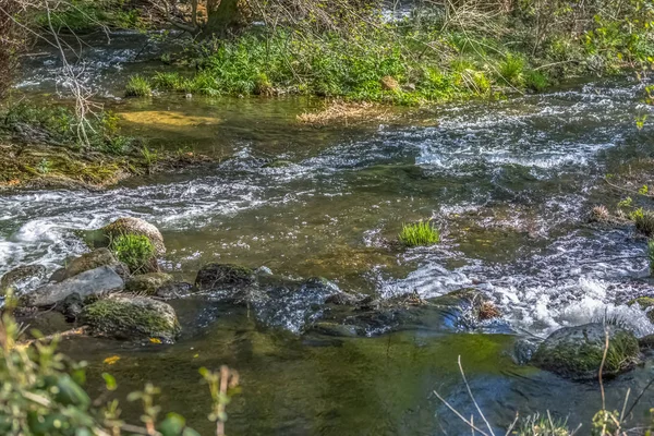 Pohled na řeku DAO se stromy, skalami a vegetací na březích, odraz ve vodě a světlé barvy — Stock fotografie