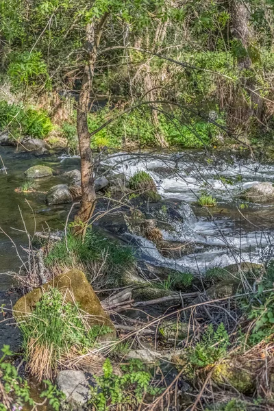 Veduta del fiume Dao, con alberi, rocce e vegetazione sulle rive, riflessi nell'acqua e colori vivaci — Foto Stock