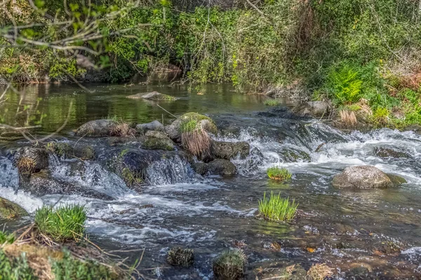 Utsikt över Dao floden, med träd, klippor och vegetation på bankerna, reflektioner i vattnet och ljusa färger — Stockfoto