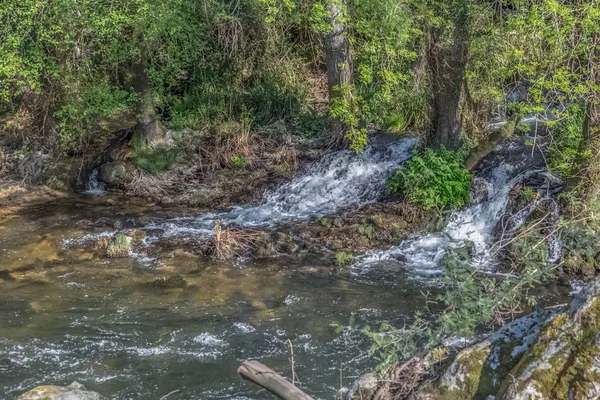 Veduta del fiume Dao, con alberi, rocce e vegetazione sulle rive, riflessi nell'acqua e colori vivaci — Foto Stock