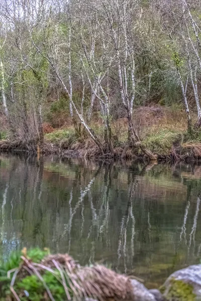 Veduta di un fiume, con alberi, rocce e vegetazione sulle rive — Foto Stock