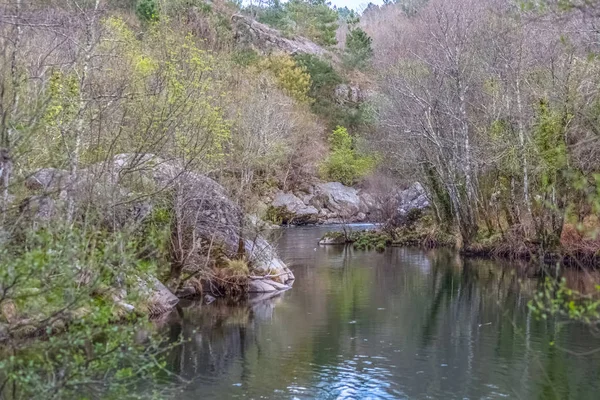 View of a river, with trees, rocks and vegetation on the banks — Stock Photo, Image