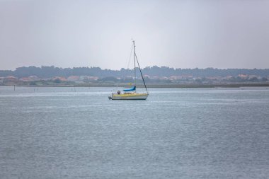 Aveiro nehri manzarası ile özel eğlence tekne yelken. Tipik bitki örtüsü ve binalar ile bulutlar ve arka plan ile Gün