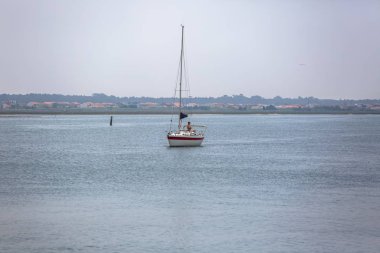 Aveiro nehri manzarası ile özel eğlence tekne yelken. Tipik bitki örtüsü ve binalar ile bulutlar ve arka plan ile Gün