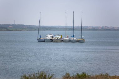Aveiro nehri manzarası ile özel eğlence tekneleri yelken. Tipik bitki örtüsü ve binalar ile bulutlar ve arka plan ile Gün