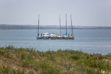 Aveiro nehri manzarası ile özel eğlence tekneleri yelken. Tipik bitki örtüsü ve binalar ile bulutlar ve arka plan ile Gün