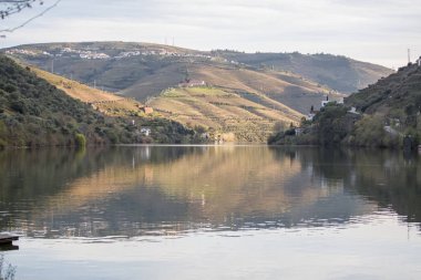 Pinhao şehrindeki Douro nehrinin genel manzarası, arka planda üzüm bağları olan tepeler.