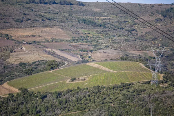 Typowy widok na górskie brzegi rzeki Douro z winnicami produkującymi typowe winogrona Douro — Zdjęcie stockowe