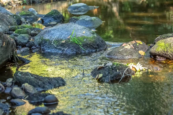 Utsikt Över Flod Med Träd Klippor Och Vegetation Bankerna Reflektioner — Stockfoto