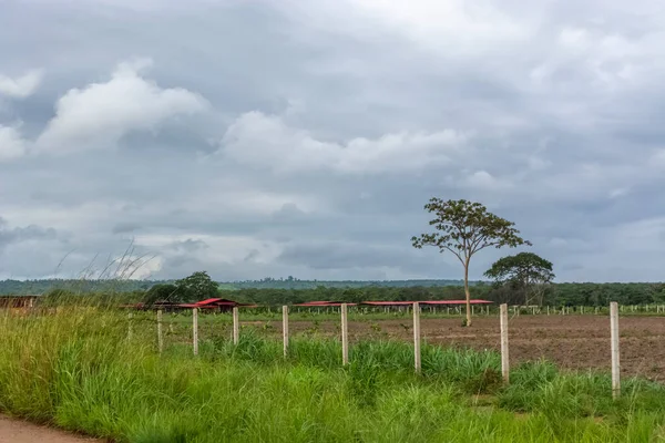 Pohled Farmu Africe Typickou Tropickou Krajinu Stromy Další Typy Vegetace — Stock fotografie