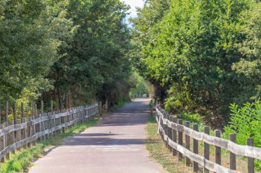 Portekiz, Viseu 'da yaya ve bisiklet eko yolu, asfalt kaldırım, arka plan ve bitki örtüsü