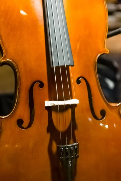 Front view of an old wood violin in detail: central play part strings ans gray background